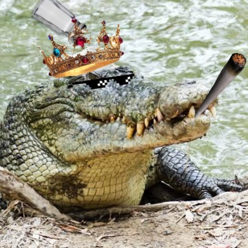 SaltCroc